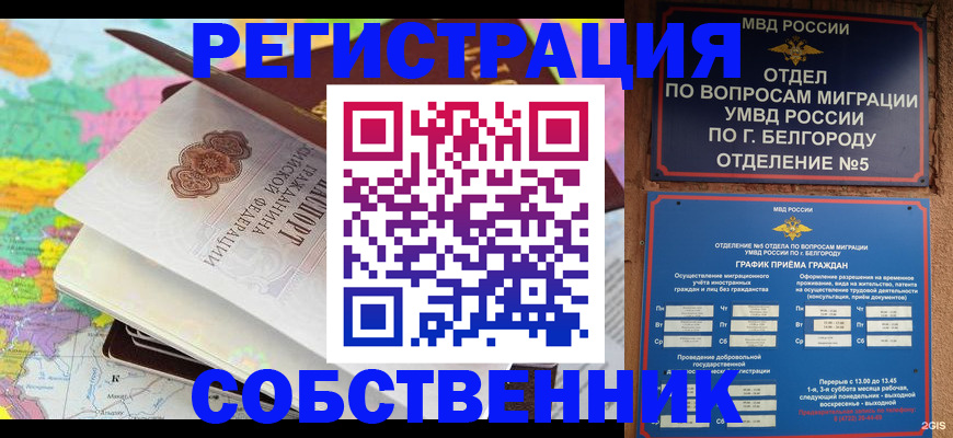 временная регистрация гарантия в Александровске